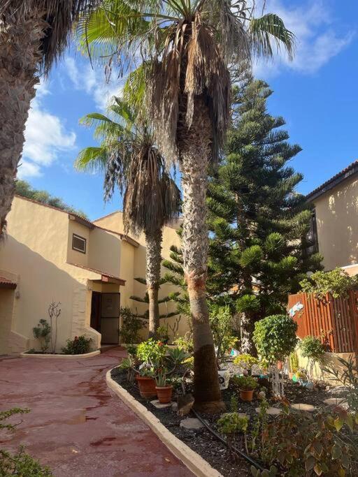 Casa Cactus Paraiso Parque Holandes Exterior photo