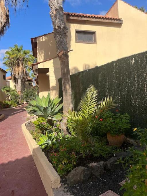 Casa Cactus Paraiso Parque Holandes Exterior photo